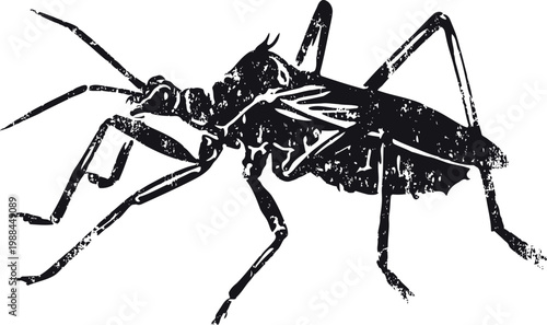 Detailed black silhouette of an insect with long legs and antennae on white background