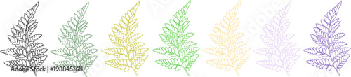 Colored fern leaves set. Botanical line art illustration in different colors.