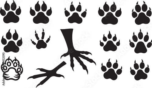 Animal Paw Prints and Bird Talon Silhouette Collection