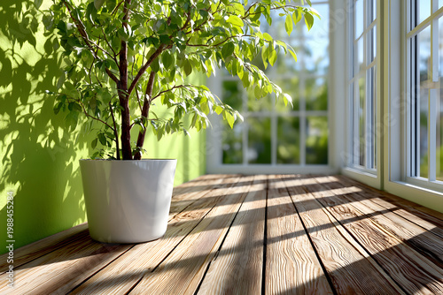 Bright green wall with a potted plant stands on a wooden floor under natural light during daytime inside a room