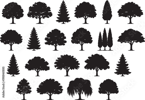 Collection of black tree silhouettes, including deciduous and coniferous varieties, against a white background, also transparent background