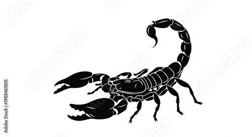 A striking black and white illustration depicts a detailed scorpion with its tail arched and claws extended