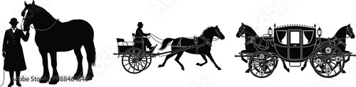 Detailed black silhouette set of vintage horse-drawn carriages, elegant royal coach with horses, traditional equestrian transportation, and Victorian era driver with stallion on white background.
