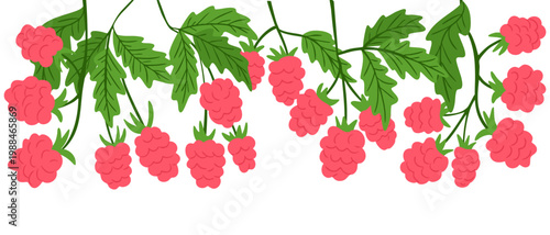 Colorful illustration of pink raspberries with green leaves, arranged in a horizontal layout on a clean white background, highlighting the fruit's texture and detail