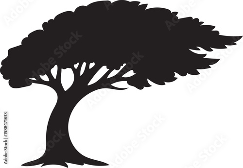 Windswept Tree Silhouette with Leaning Canopy