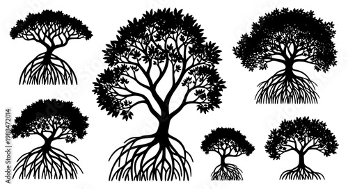 Mangrove Tree Silhouette Vector Set Black White Coastal Ecology Nature Collection