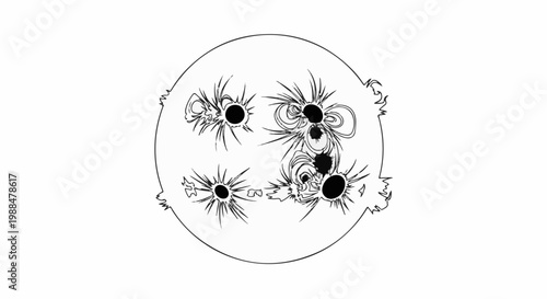 Black and white line drawing of the sun with sunspots and flares