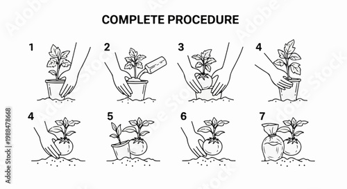 Step-by-step illustration of planting a seedling, showing pot, hands, and growth