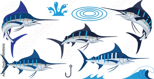 Marlin Fish Vector Set Featuring Blue Marlin In Various Dynamic Poses Including Leaping Out Of Water For Marine Biology Saltwater Fishing And Sport Fishing Graphic Designs
