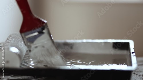 Close-up of Paintbrush Dipped into White Paint in Plastic Tray, Preparation for Home Renovation, 4K 10-bit
