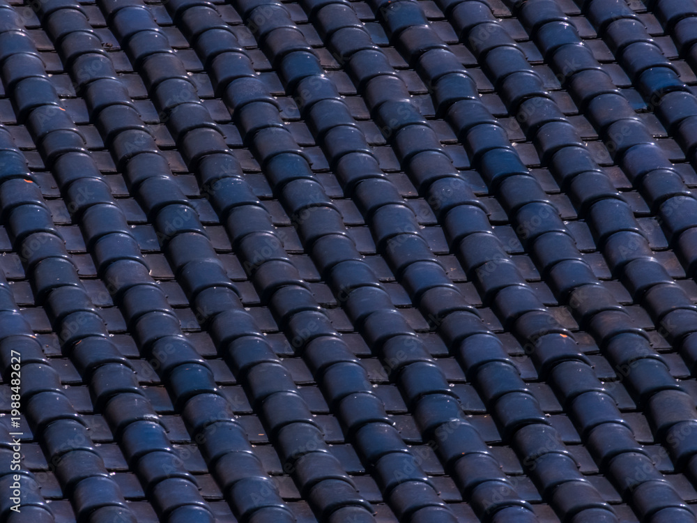 Fototapeta premium Close-up of dark blue ceramic roof tiles creating a repeating diagonal pattern, showcasing architectural texture and detail.