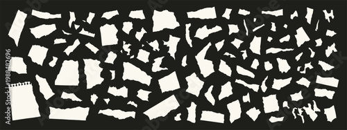 Collection of Torn White Paper Scraps on Black Background