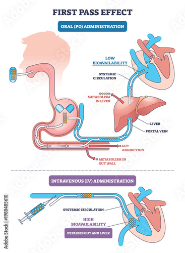 First pass effect diagram showing how oral drugs face gut and liver metabolism versus IV route reaching systemic circulation, key objects, liver, stomach, syringe. Outline diagram