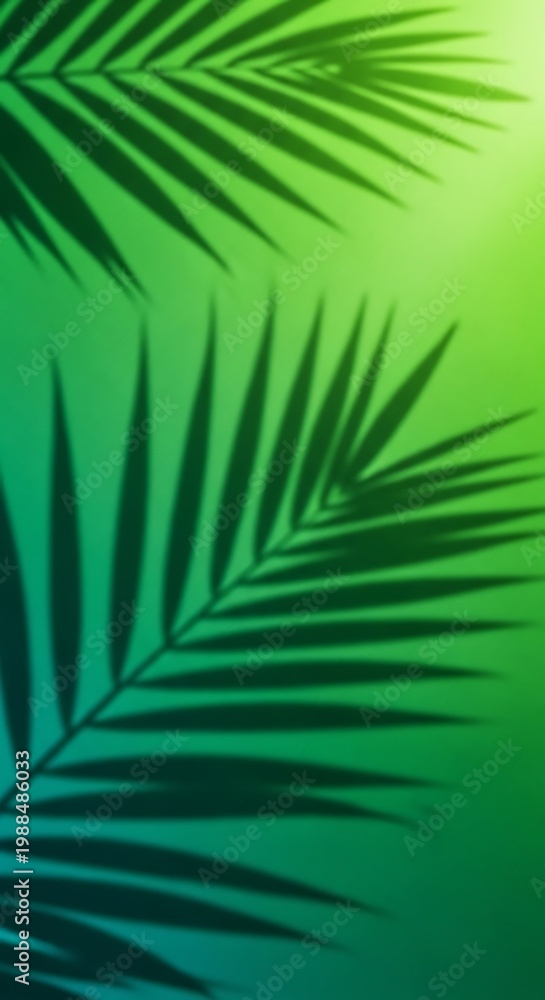 Obraz premium Tropical Palm Leaf Shadows on Green Gradient Background.