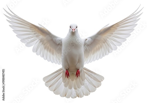 Symbolic white dove soaring with open wings and red feet captured in a minimalist studio setting on white.