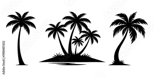 tropical coconut tree, palm tree silhouette vector
