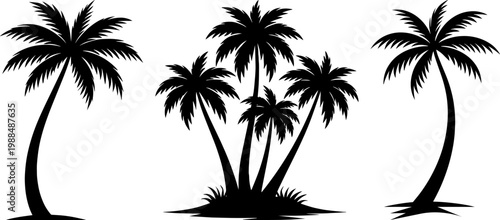 palm tree, tropical coconut silhouette set