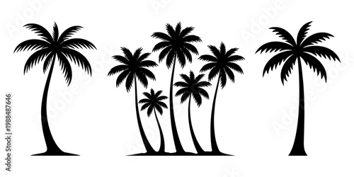 silhouette of palm tree, tropical coconut vector set