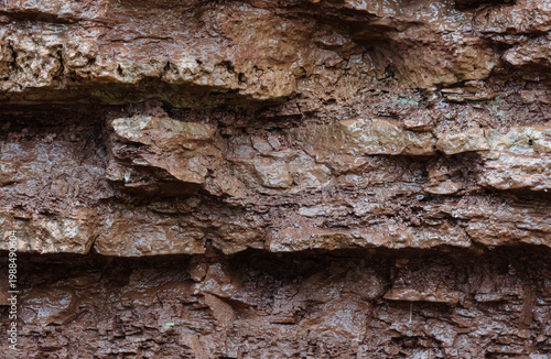 Wet surface of shale strata after rain