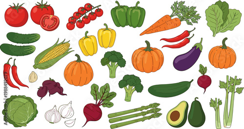 Colorful Fresh Vegetable Collection Set with Tomato Pumpkin Avocado Corn Eggplant Broccoli and Organic Produce for Food Design