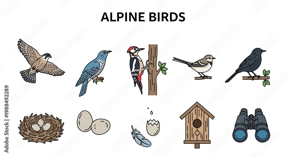 Fototapeta premium Collection of Alpine Birds and Related Elements Hand-Drawn Illustration.
