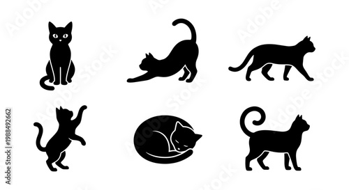 Black cat silhouette collection, set of 6 feline vector icons in various poses, minimalist domestic cat illustrations for pet branding and web design