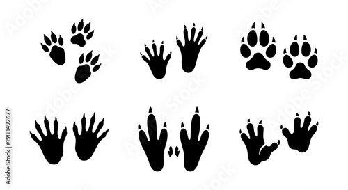 Animal paw prints silhouette collection, black wildlife track icons, set of diverse mammal and bird footprints, nature trail identification vector