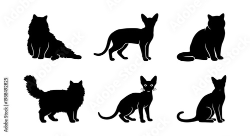 Black cat silhouette collection, set of 6 feline vector icons in various poses, minimalist domestic cat outlines for pet branding and graphic design