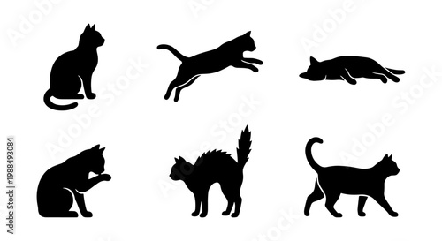Black cat silhouette collection, set of 6 feline vector icons in various poses, minimalist animal shapes for pet branding and graphic design