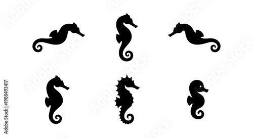 Black seahorse silhouette collection, set of 6 marine animal icons, minimalist sea horse vector illustrations for aquatic branding and nautical design