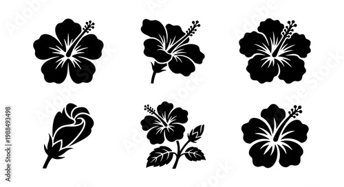 Hibiscus flower black silhouette icons, tropical floral blossom vector set of 6 elements, exotic Hawaiian plant stencils for summer design