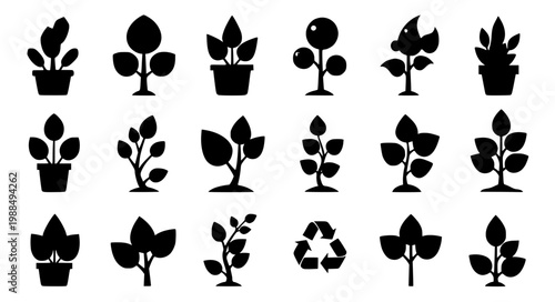 Plant Icon EPS10 Set Green Botanical Nature Leaf Vector Illustration Collection