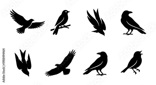 Black bird silhouettes collection, set of 8 vector bird icons in flight and perched, minimalist raven and crow shapes for nature logos
