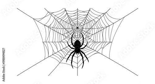 Black spider on intricate cobweb vector, creepy arachnid hanging on silk spiderweb, spooky halloween insect illustration on white background