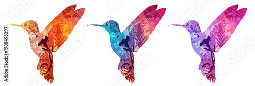A set of hummingbirds for your design. The silhouettes feature a vibrant background with tropical flowers and insects. Isolated objects.