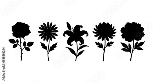 Black floral silhouettes set of 5 flower icons, botanical rose lily and daisy vector illustrations, minimalist garden blossom shapes on white background