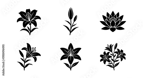 Elegant lily flower icons set, black floral silhouettes of blooming lilies and lotus, 6 vector botanical elements for wedding and logo design