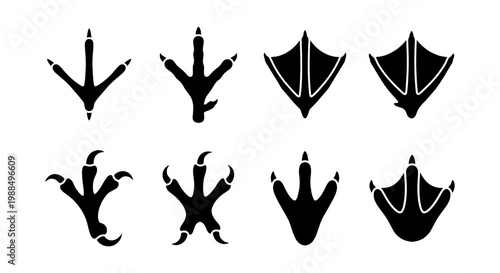 Slika na platnu Bird footprint silhouettes collection, 8 black avian paw print icons, duck and c