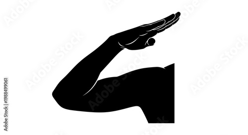 Soldiers saluting on Armed Forces Day in a parade