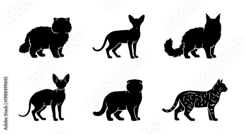 Black cat silhouettes collection, set of 6 feline breed icons in vector format, diverse domestic cat breeds including Persian and Sphynx