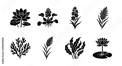 Black silhouette aquatic plants vector set, 8 water lily and seaweed icons, botanical pond flora collection, minimalist marsh vegetation graphics