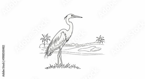 A tall wading bird stands in grassy area with palm trees and water