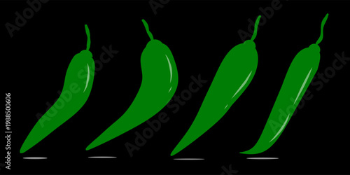Set collection of chili pepper illustrations. Hand-drawn images of unripe chili pepper plants.