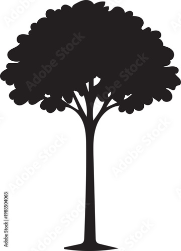 Tall Tree Silhouette with Rounded Canopy