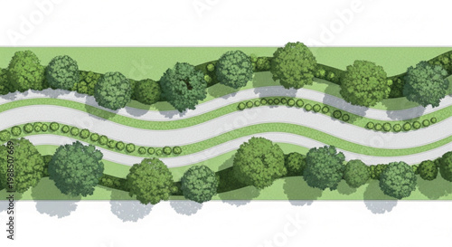 Landscape design plan view, garden path with green trees and shrubs, architectural site map vector, park walkway with vegetation and shadows