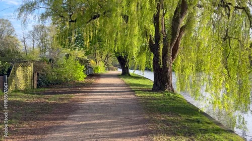 Cycling along the Alster River in a park in Hamburg Alsterdorf in beautiful spring sunlight, POV footage