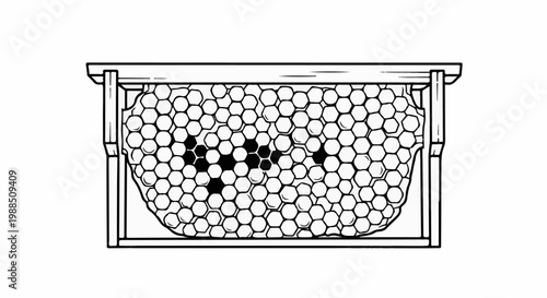 A drawing of a honeycomb frame with some cells filled in black