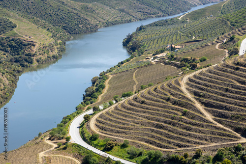 Obraz na plátně Douro river winding through terraced vineyards valley