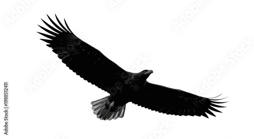 A majestic eagle soars through the air with its wings spread wide in a stunning black silhouette