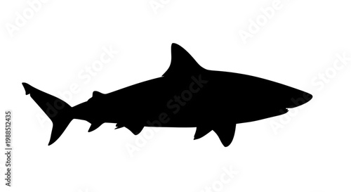 A black silhouette of a shark on a white background